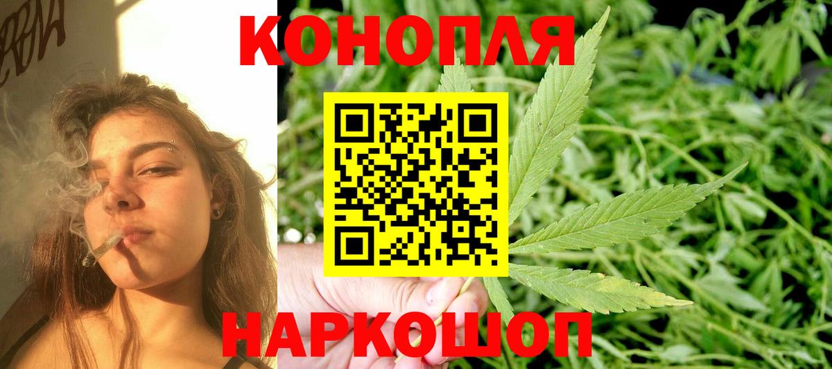 Марихуана конопля Гудермес